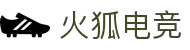 火狐电竞 - 官方首页 | 专业电竞平台,精彩赛事尽在其中